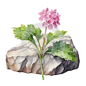 A painting of the Cheddar Pink plant. Ai-Generated.