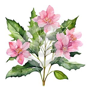 A painting of the Cheddar Pink plant. Ai-Generated.