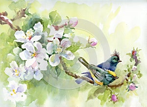 Painting collection Birds of spring