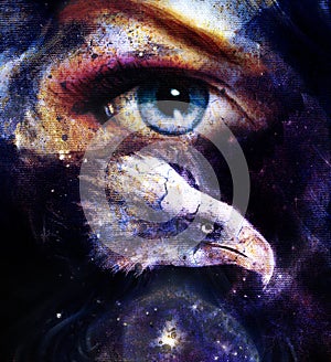 Painting eagle with woman eye on abstract background in space with stars. Wings to fly, USA Symbols Freedom. .