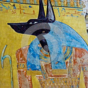 Painting of Egyptian god of Anubis in the Valley of Kings in Luxor, Egypt