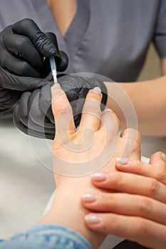 Painting female nails. Hands of manicurist in black gloves is applying transparent nail polish on female nails in a