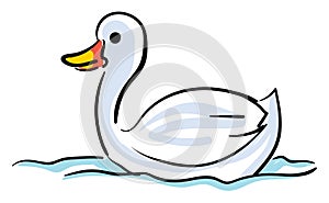 Painting of a fluffy swan swimming across the sea, vector or color illustration