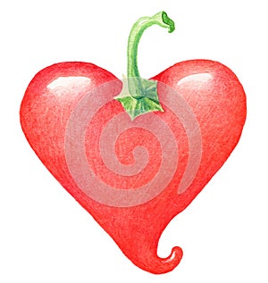 Painting of hot heart shaped pepper