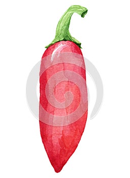Painting of hot pepper
