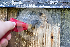 Painting House Facade, Exterior