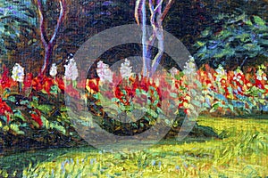 Painting landscape original oil color on canvas of Salvia flo