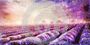 painting of lavender fields on canvas.Sunset landscape