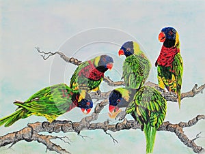 Painting of Lorikeets photo