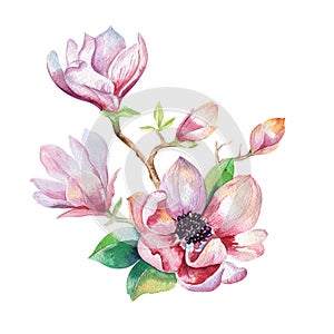 Painting Magnolia flower wallpaper. Hand drawn Watercolor floral