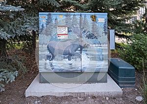 Painting of a Moose on an electrical box in Avon, Colorado. photo