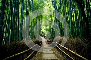 a painting of a path through a bamboo forest. generative ai