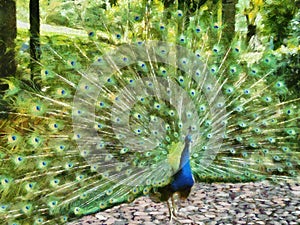 Painting of a peacock in a garden.