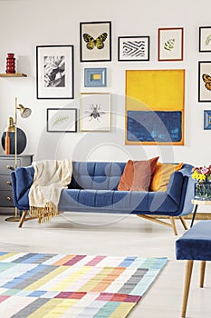 Painting and posters above navy blue couch in modern living room