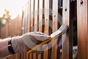 Painting protective varnish on wooden picket fence