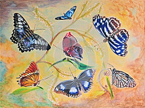 Painting of Seven Butterflies