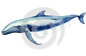 Painting splash humpback drawing whale grunge fin life background predator graphic shark invitation