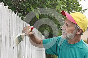 Painting suburban fence