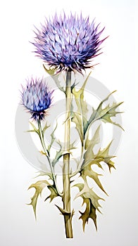 a painting of a thistle plant with purple flowers.Watercolor Painting Thistle Bluebell, Perfect for Wall Art.