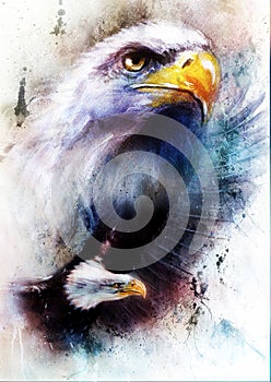 Painting of two eagles one stretching his black wings to fly, on abstract color background.