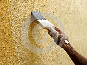 Painting Wall