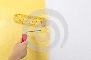 Painting the wall with a paint roller