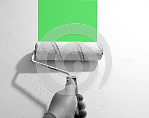 Painting the walls in green. Roll painting.