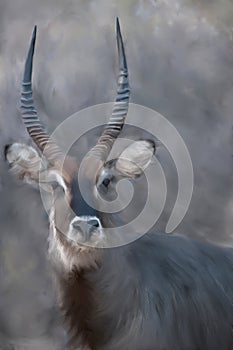 Painting of a Waterbuck. photo