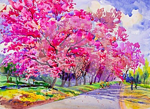 Painting watercolor landscape original pink red color of Wild himalayan cherry.