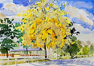 Painting watercolor landscape yellow color of golden tree flower