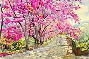 Painting watercolor landscapem of Wild himalayan cherry.