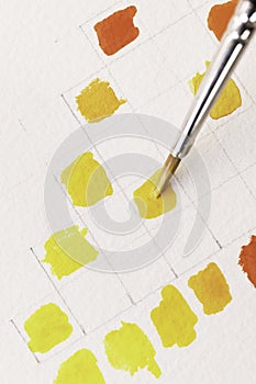 Painting Watercolor Swatches