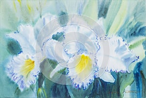 Painting white,yellow color of orchid flower and green leaves