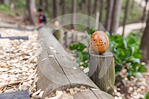 Painting wood egg in forest