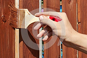 Painting wooden fence with a brown paint