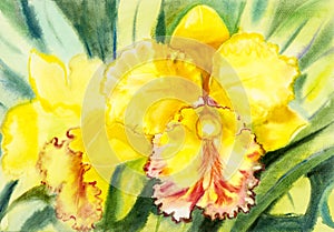 Painting yellow,orange color of orchid flower and green leaves