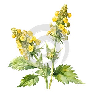 A painting of the Yellow Rattle plant. Ai-Generated.