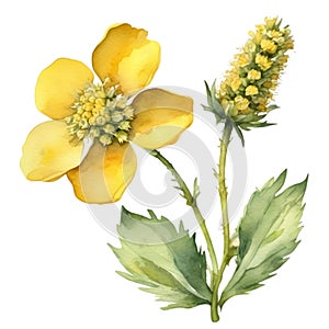 A painting of the Yellow Rattle plant. Ai-Generated.