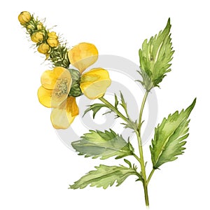 A painting of the Yellow Rattle plant. Ai-Generated.