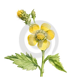 A painting of the Yellow Rattle plant. Ai-Generated.