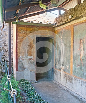 The paintings in garden