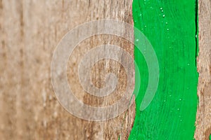 Paints and brush on a wooden background. Part painted wooden surface green color