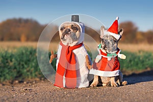 Pair of adult and puppy French Bulldog dogs dressed up with funny snowman and santa Christmas costumes