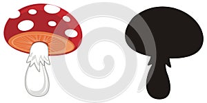 Pair of amanitas