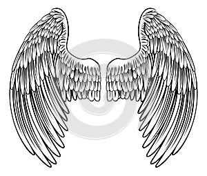 Pair of Angel or Eagle Wings