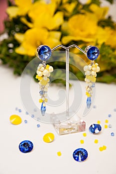 Pair of Beautiful silver Earrings with gemstones on the natural background