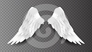 Pair of beautiful white angel wings isolated on transparent background, 3D realistic vector illustration. Spirituality