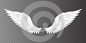 Pair of beautiful white angel wings isolated on transparent background, 3D realistic vector illustration. Spirituality