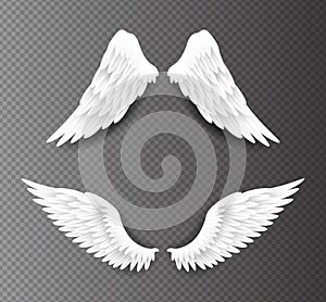 Pair of beautiful white angel wings isolated on transparent background, 3D realistic vector illustration. Spirituality