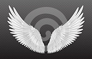 Pair of beautiful white angel wings isolated on transparent background, 3D realistic vector illustration. Spirituality